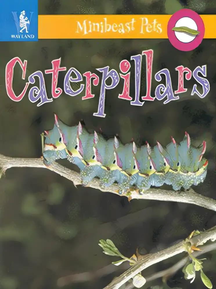 Caterpillars