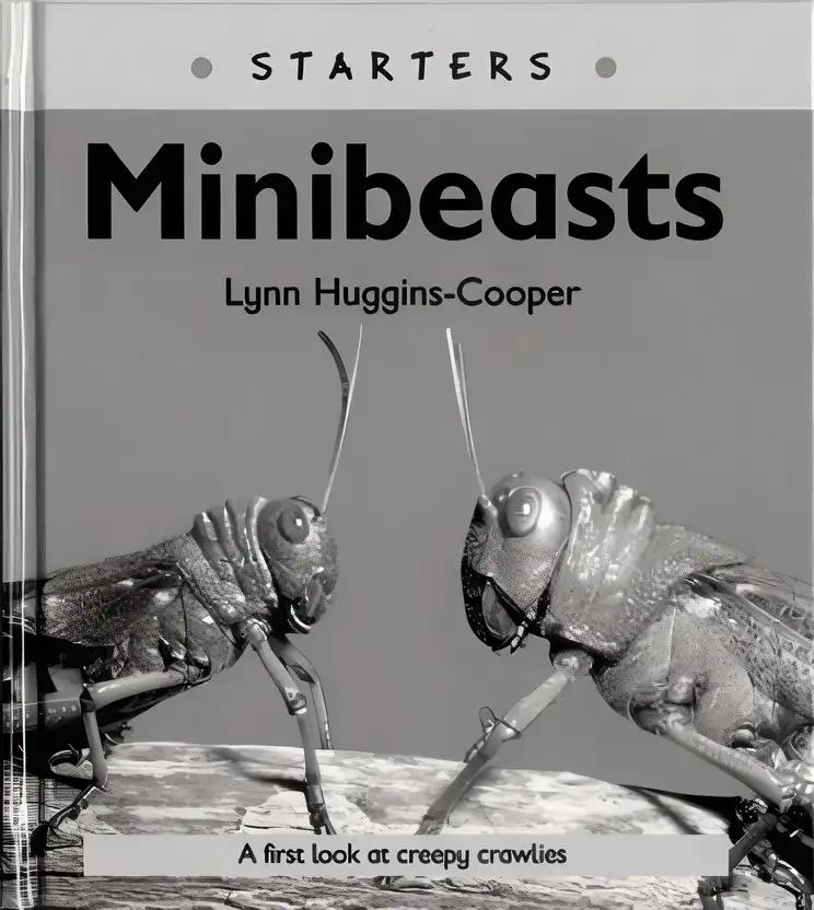 Starters: Mini Beasts