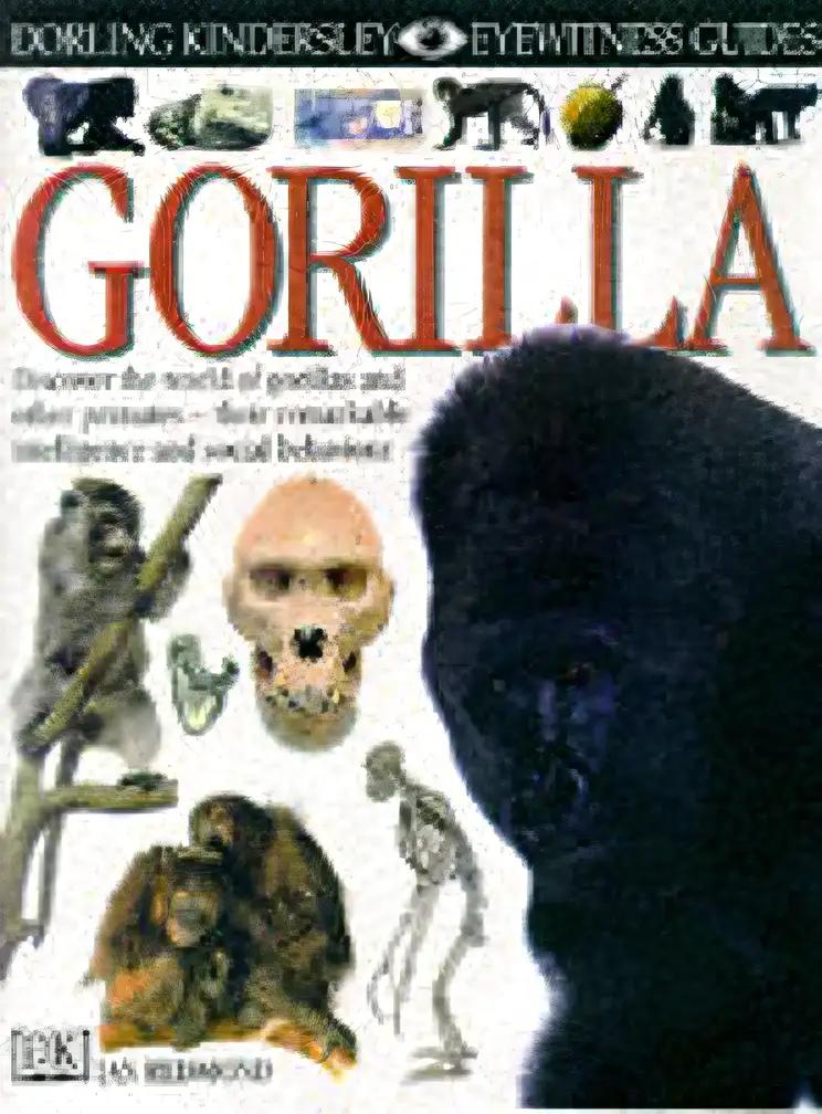 GORILLA (DK Eyewitness Books)