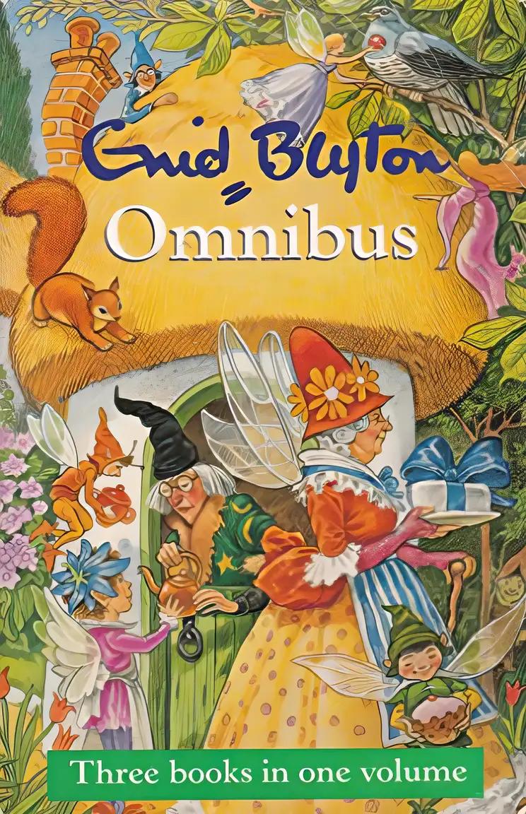 Enid Blyton Omnibus (Children's Omnibuses)