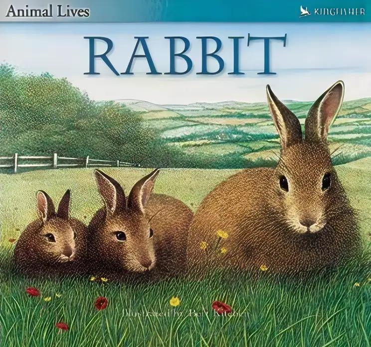 The Rabbit: Animal Lives