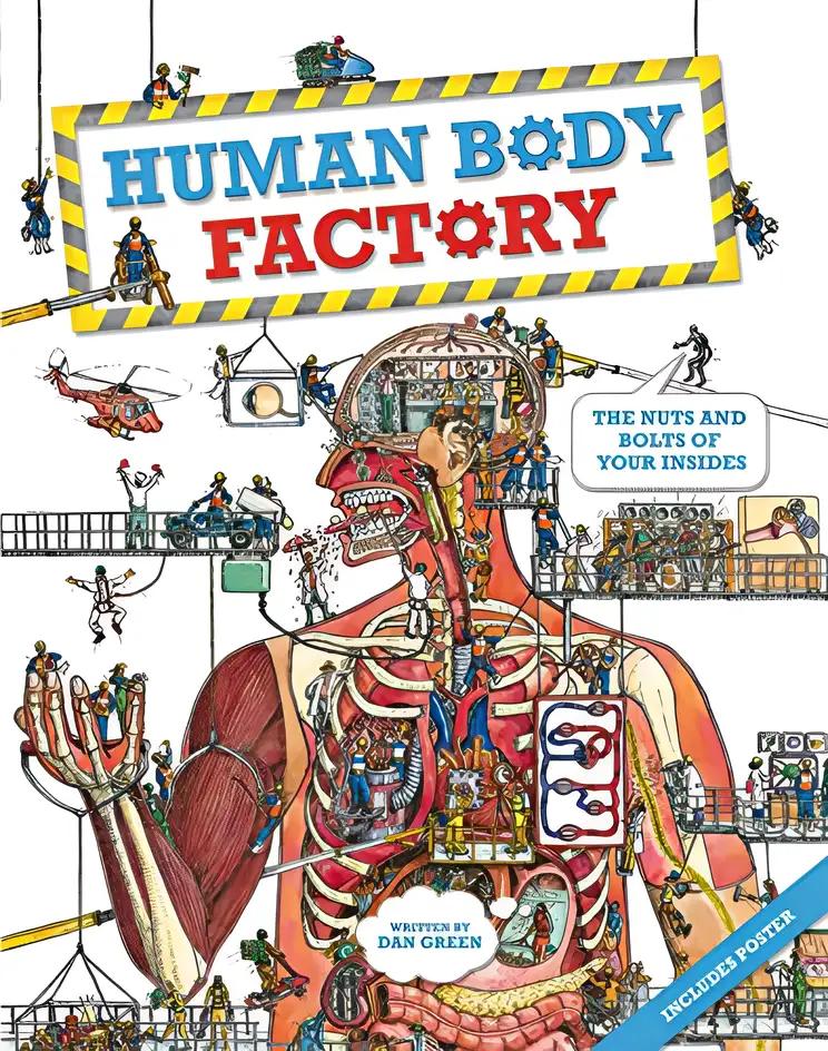 The Human Body Factory: The Nuts and Bolts of Your Insides