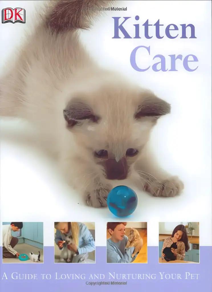 Kitten Care (How to Look After Your Pet)