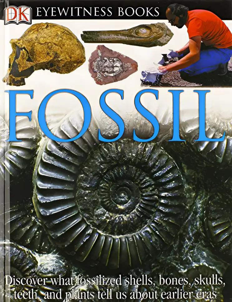 DK Eyewitness Books: Fossil