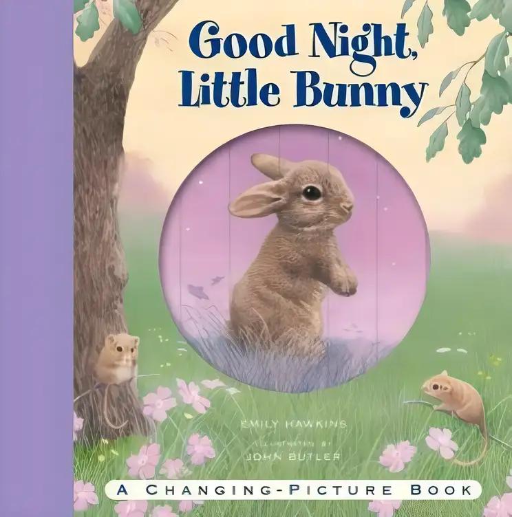 Good Night, Little Bunny: A Changing-Picture Book