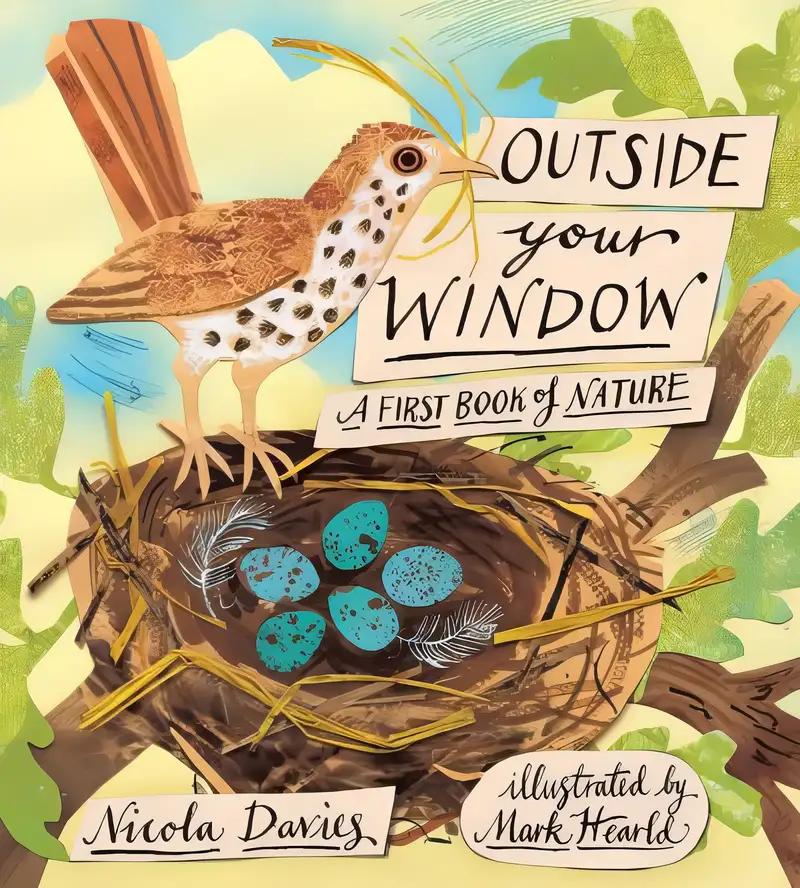 Outside Your Window: A First Book of Nature