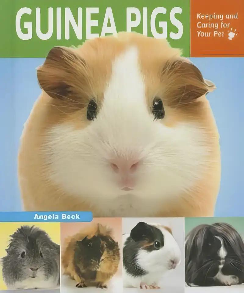 Guinea Pigs: Keeping and Caring for Your Pet