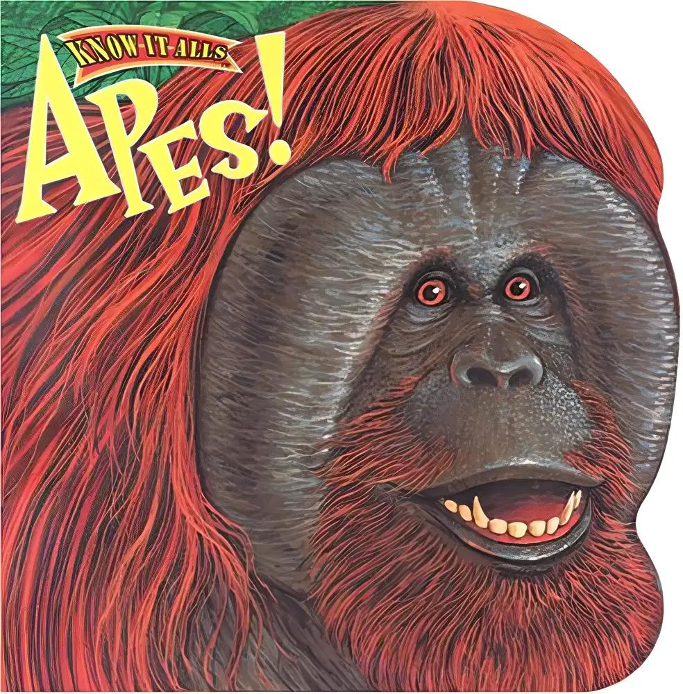 Apes