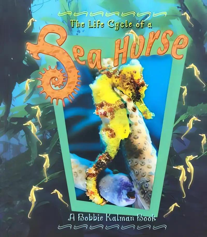 The Life Cycle of a Sea Horse