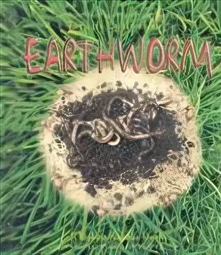 The Life Cycle of an Earthworm