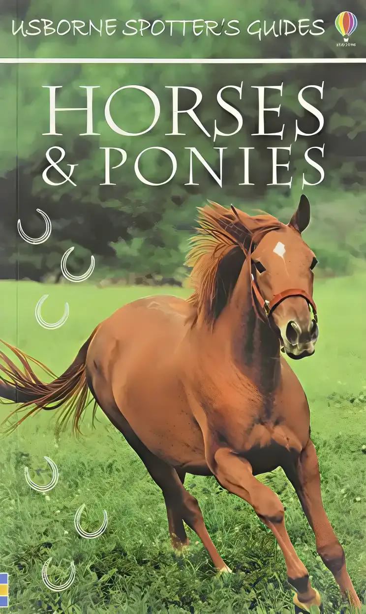 Usborne Spotter's Guide to Horses & Ponies (Spotters Guides)