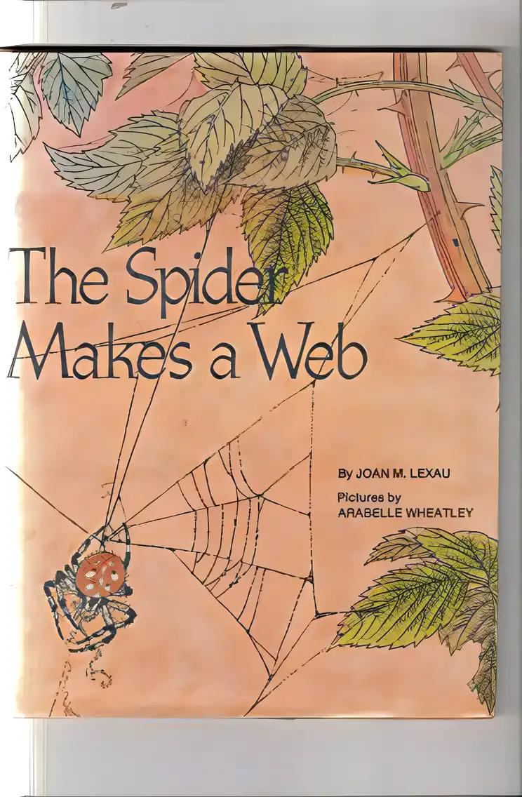 The Spider Makes a Web