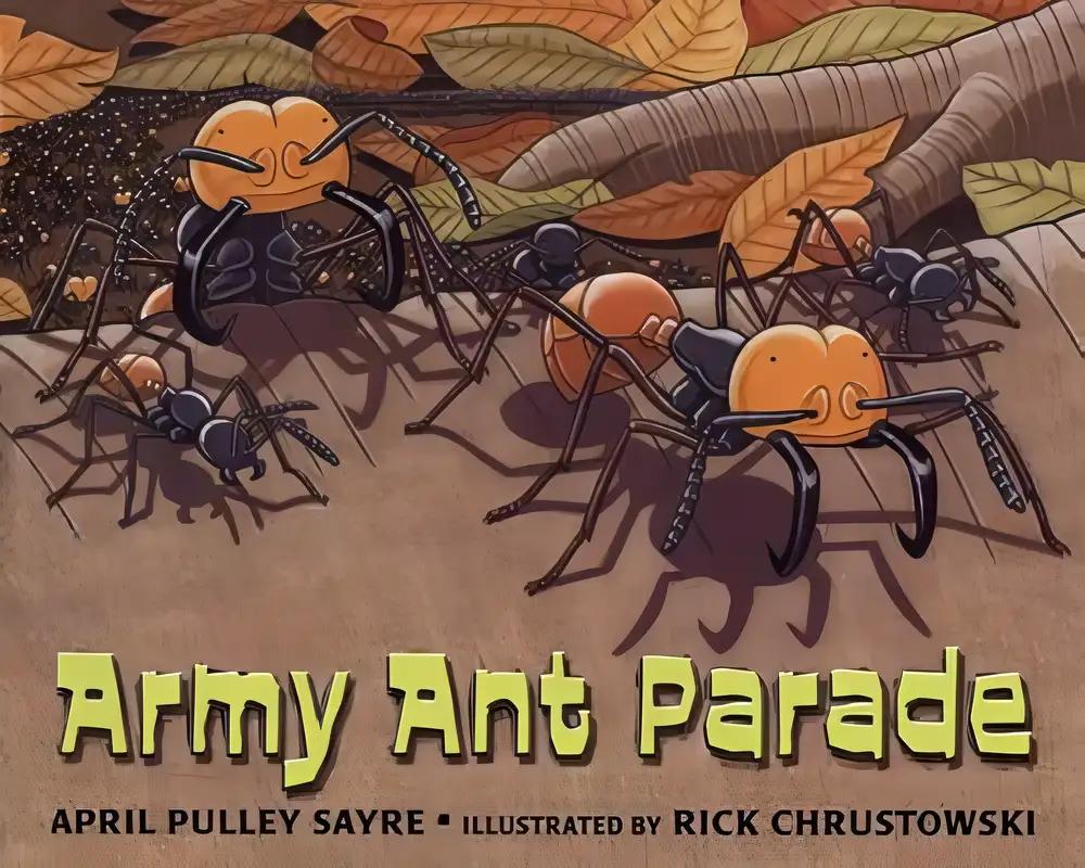 Army Ant Parade