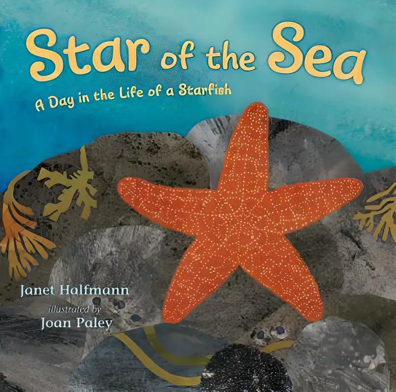 Star of the Sea: A Day in the Life of a Starfish