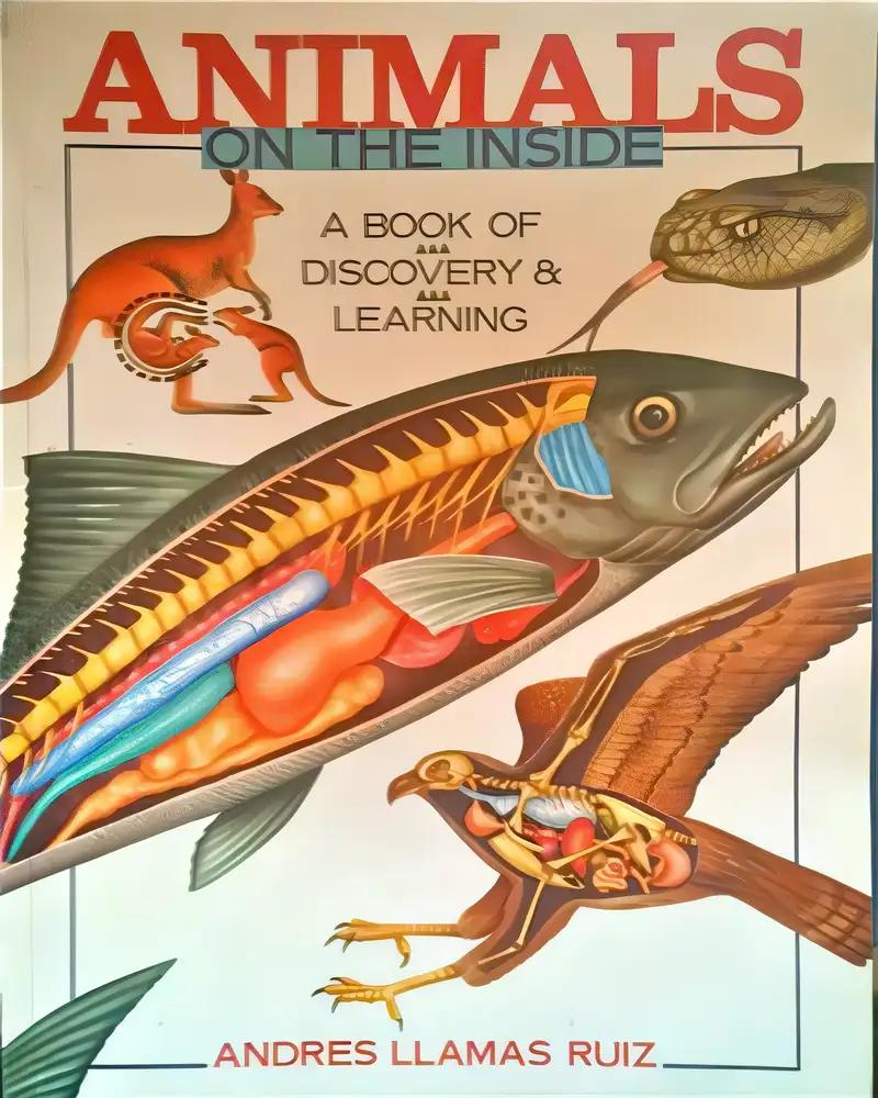 Animals on the Inside: A Book of Discovery & Learning