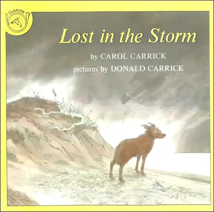 Book cover of 'Lost in the Storm'