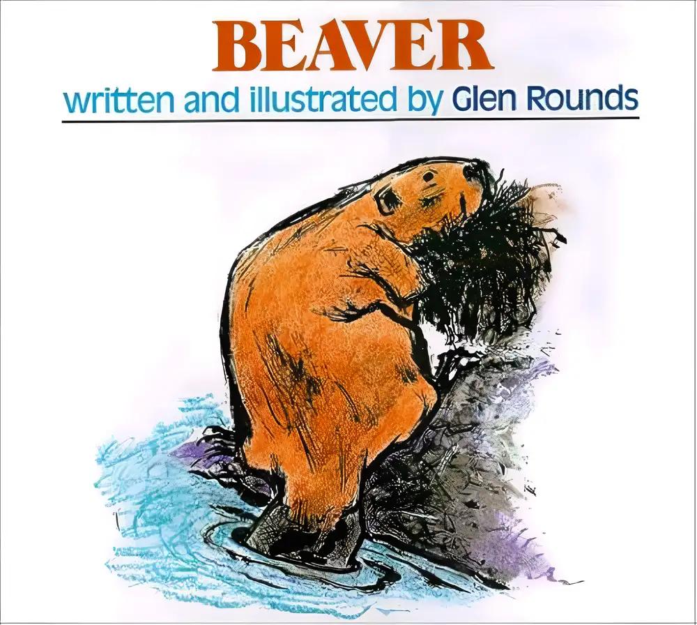 Beaver