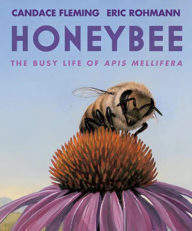 Honeybee: The Busy Life of Apis Mellifera