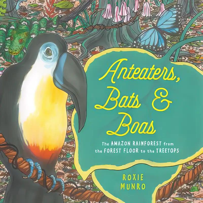 Anteaters, Bats & Boas: The Amazon Rainforest from the Forest Floor to the Treetops