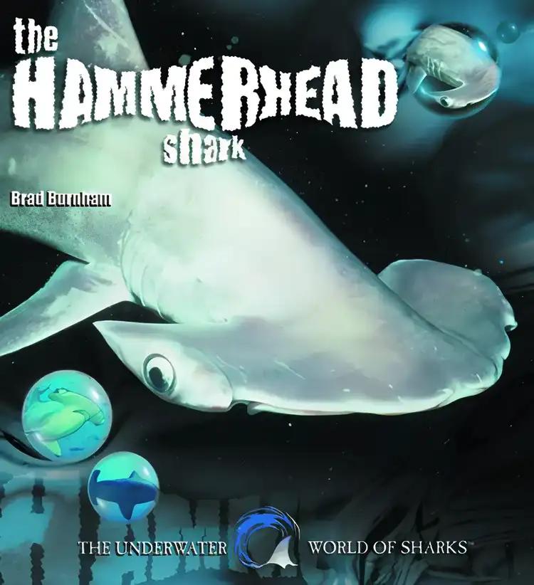 The Hammerhead Shark