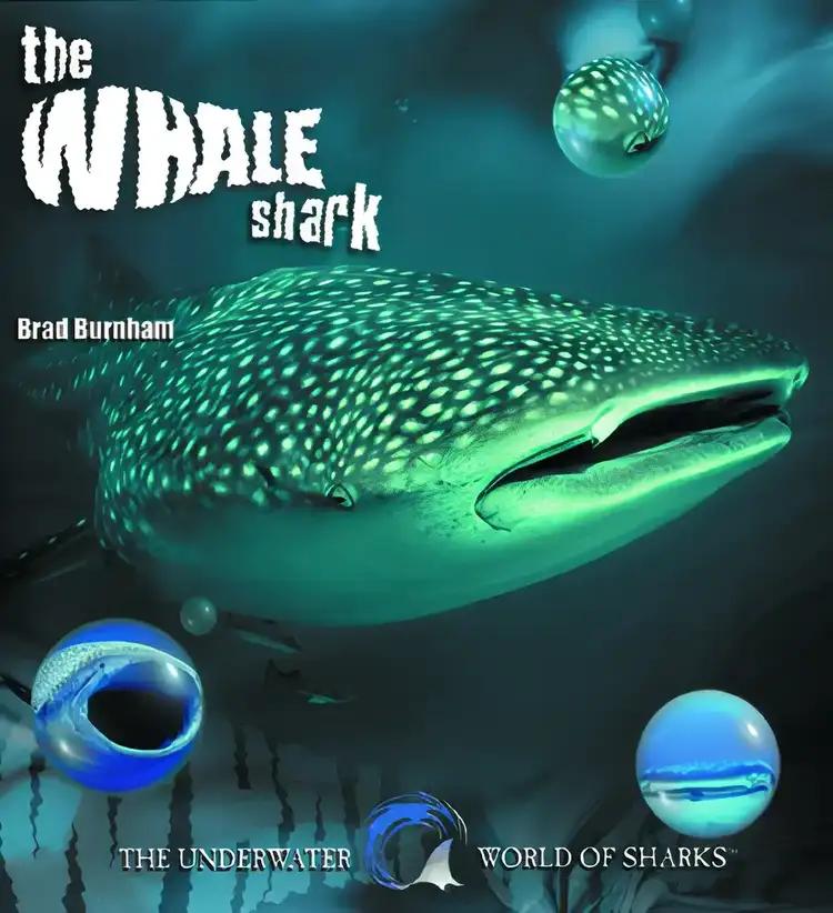 The Whale Shark