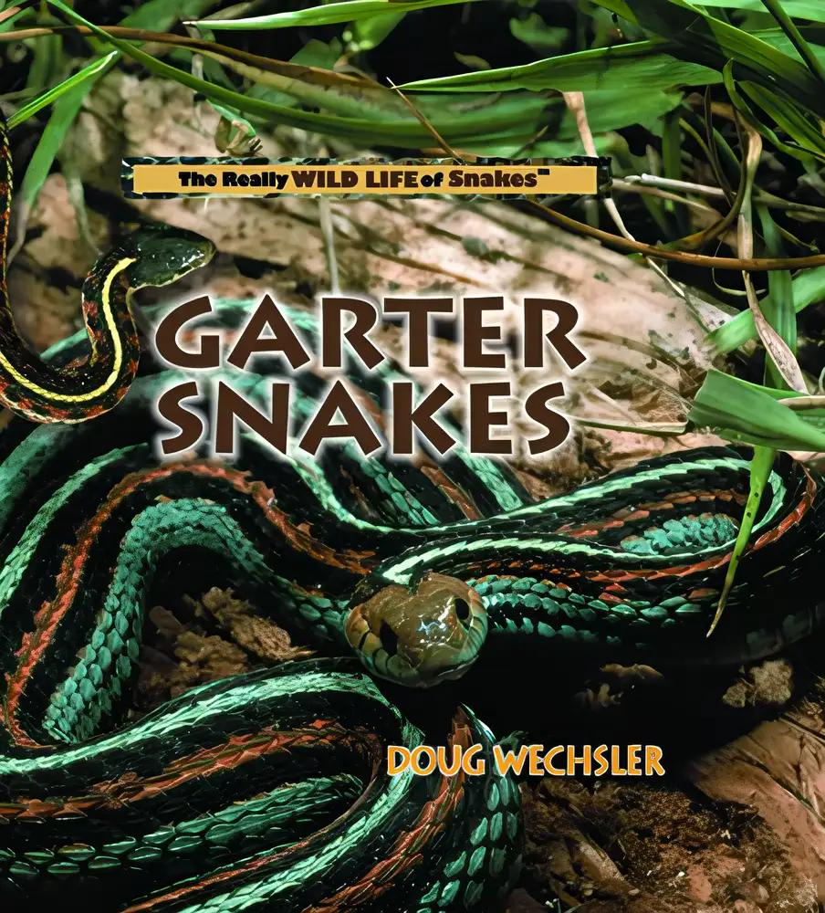 Garter Snakes