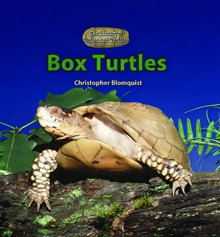 Box Turtles