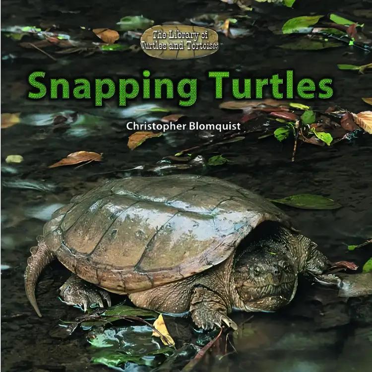 Snapping Turtles