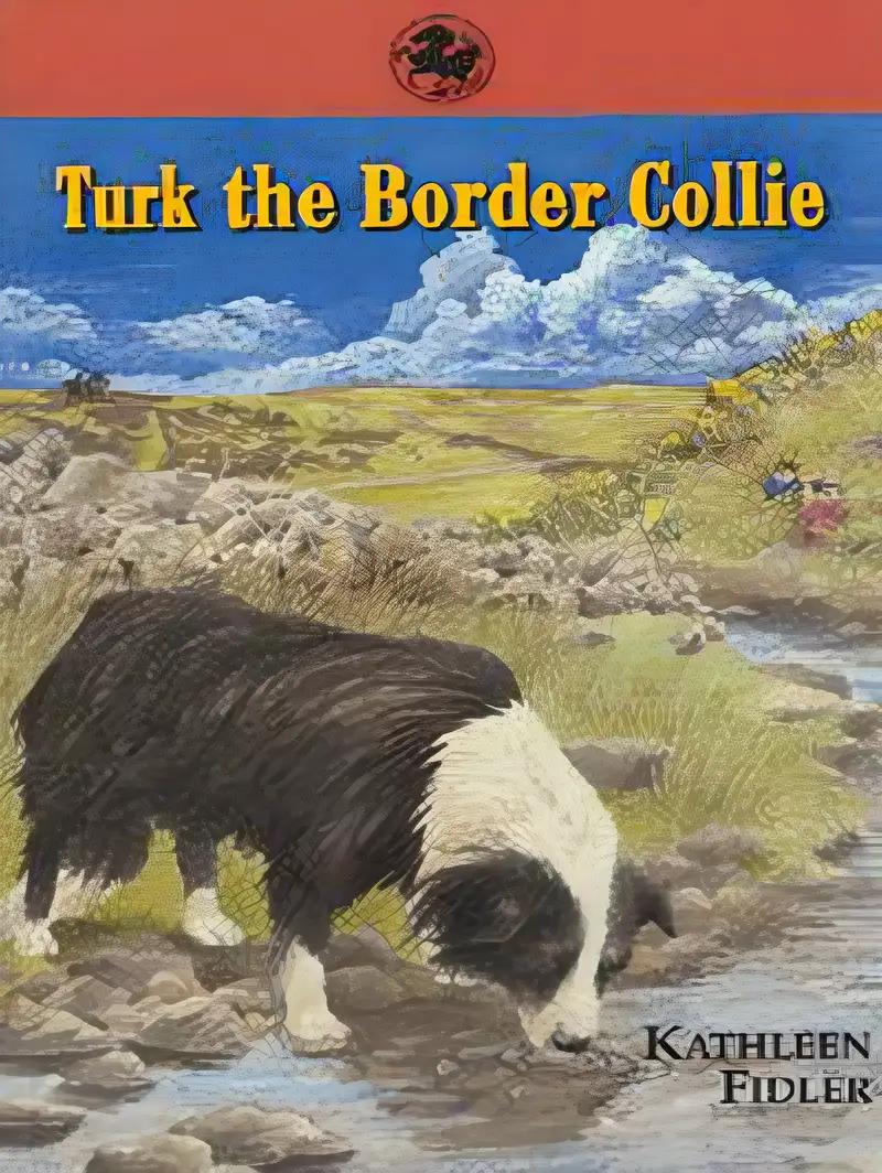 Turk, the border collie