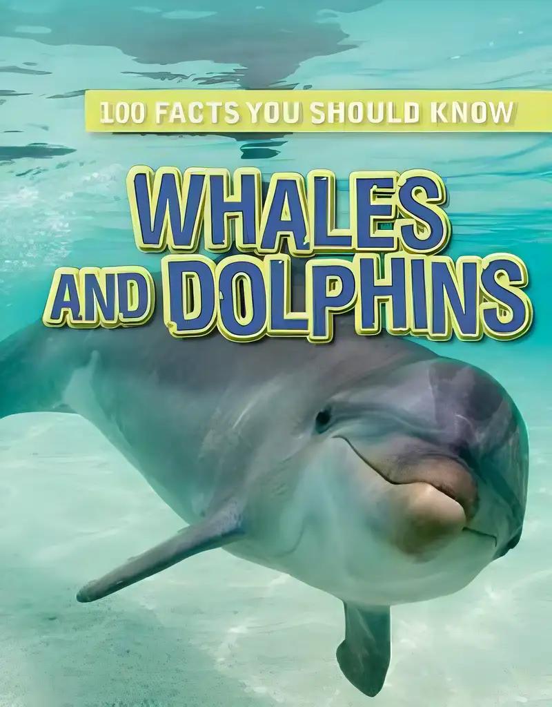 Whales And Dolphins