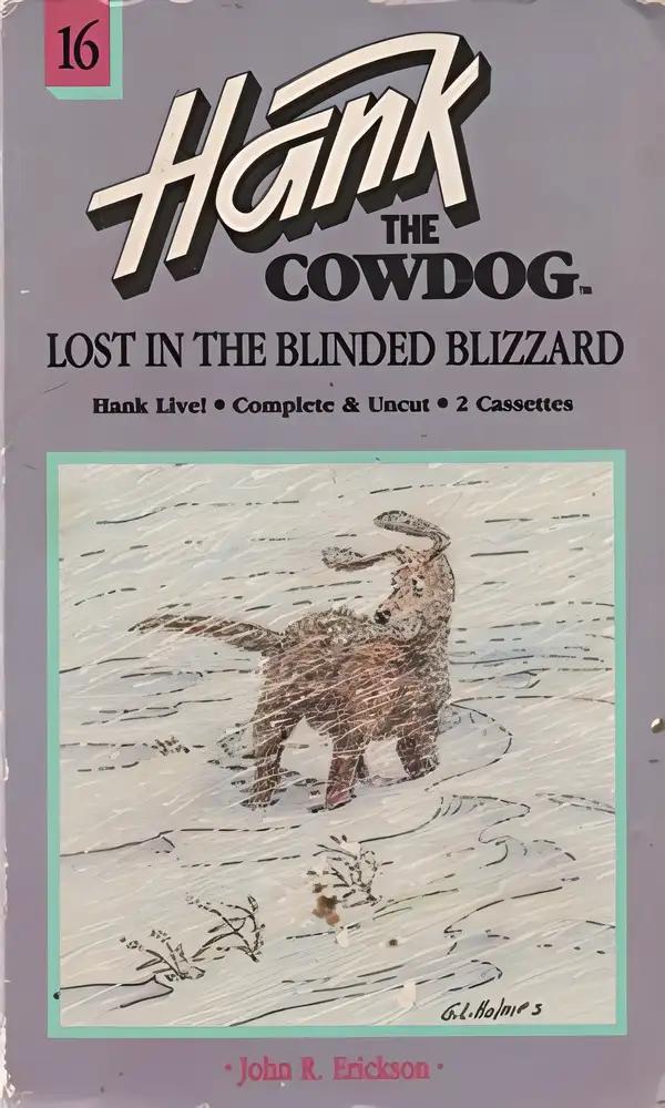 Lost in the Blinded Blizzard