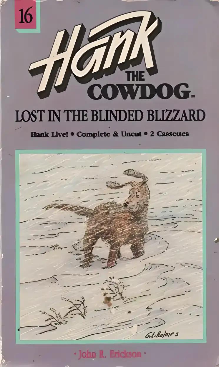 Lost in the Blinded Blizzard