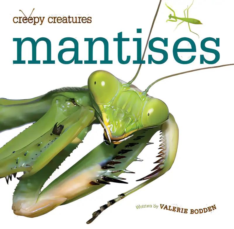 Mantises (Creepy Creatures)