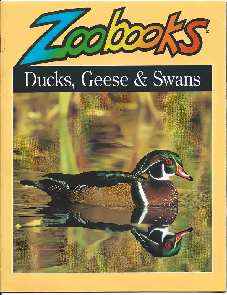 Ducks, Geese, and Swans (Zoobooks Series)