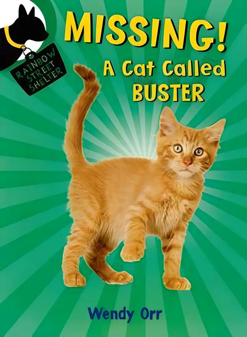 MISSING! A Cat Called Buster (Rainbow Street Shelter)