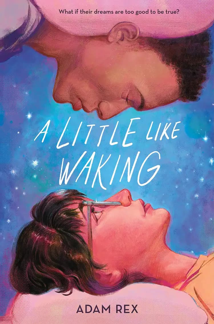 Book cover of 'A Little Like Waking'