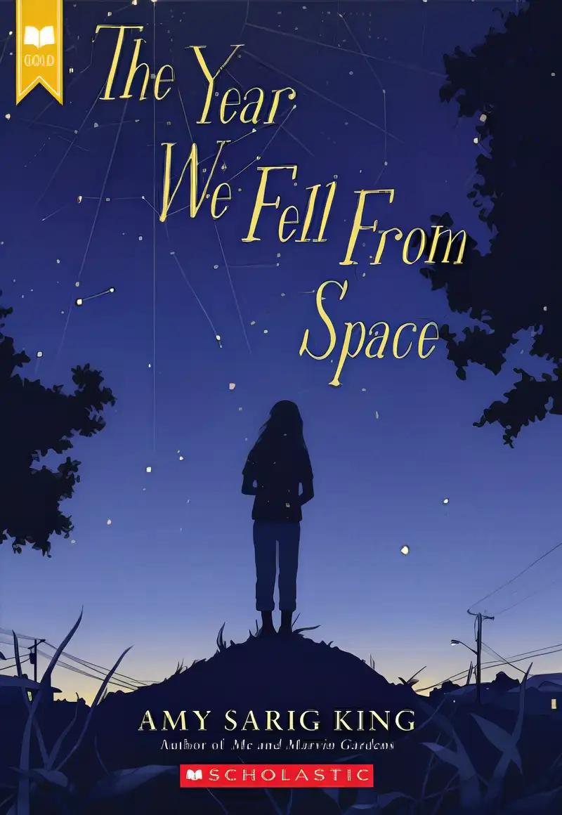 The Year We Fell From Space (Scholastic Gold)