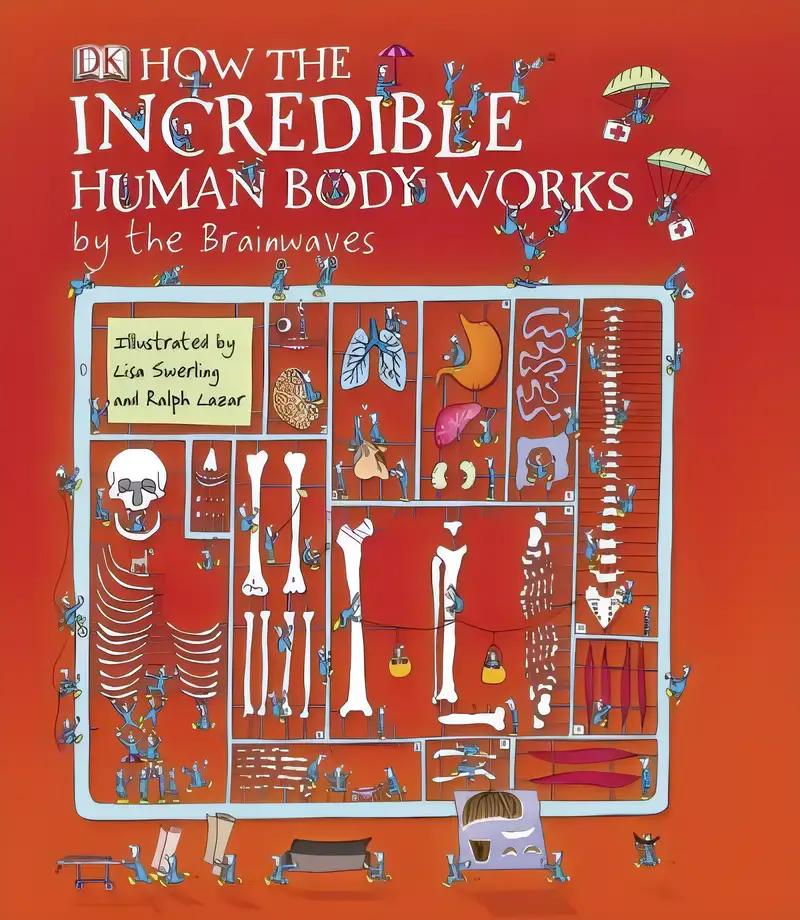 How the Incredible Human Body Works: by the Brainwaves