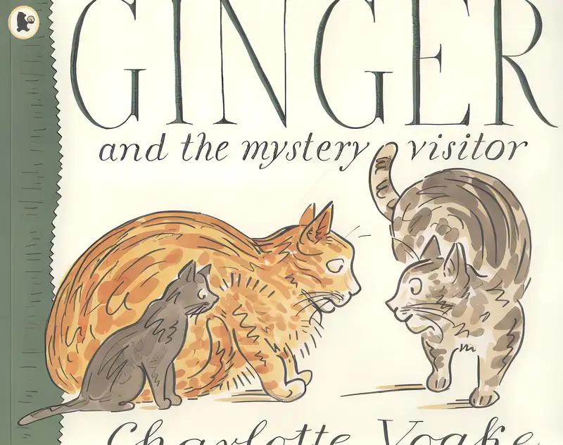 Ginger and the Mystery Visitor