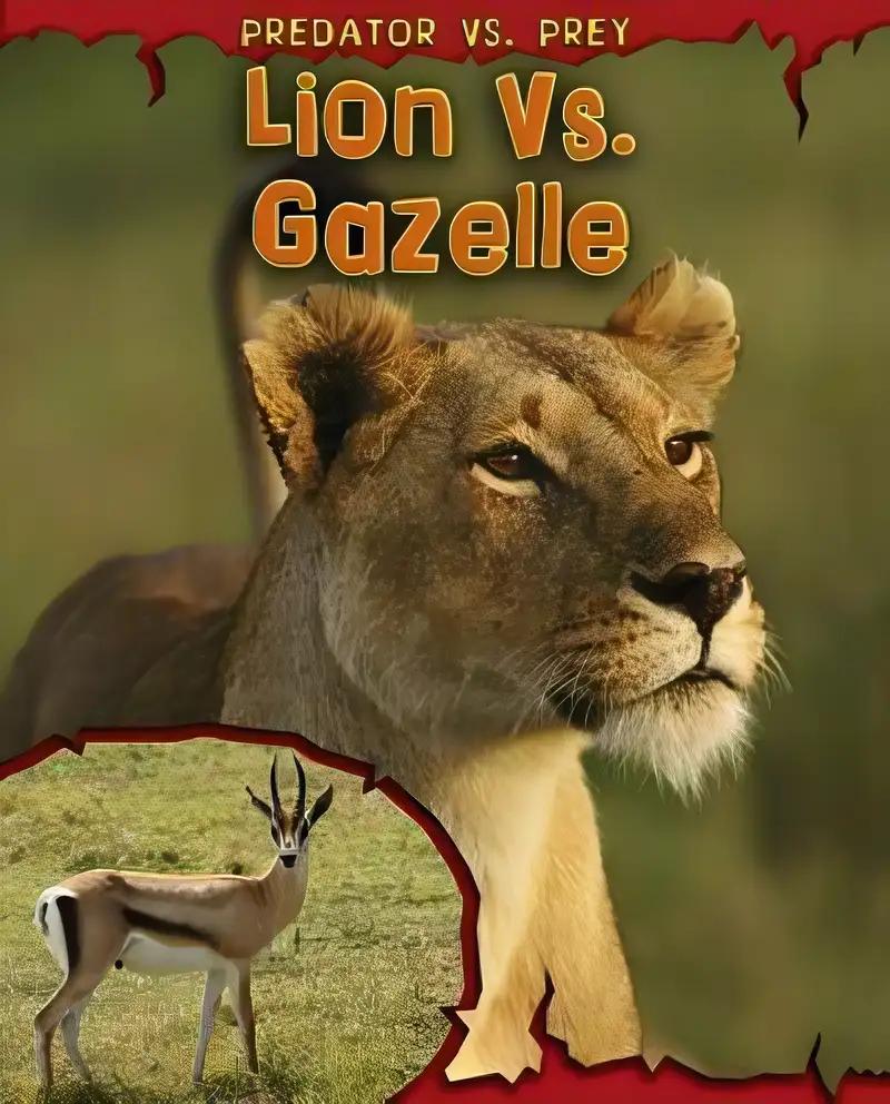 Lion vs. Gazelle (Read Me!: Predator Vs. Prey)