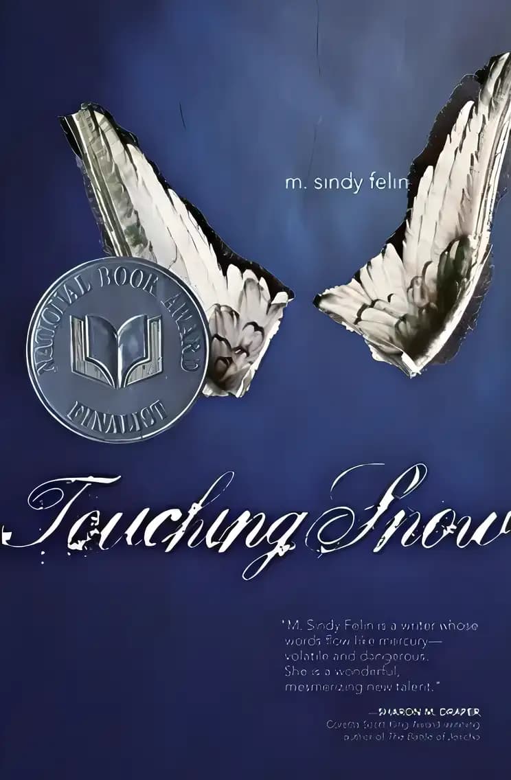 Book cover of 'Touching Snow'