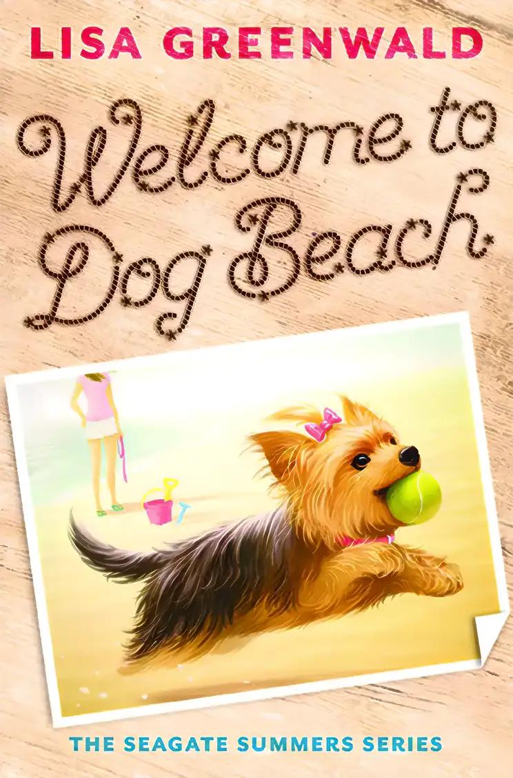 Welcome to Dog Beach