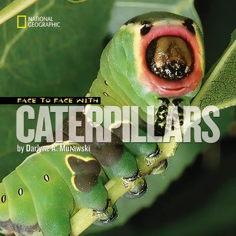 Face to Face with Caterpillars (Face to Face with Animals)