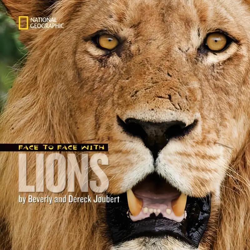 Face to Face with Lions (Face to Face with Animals)