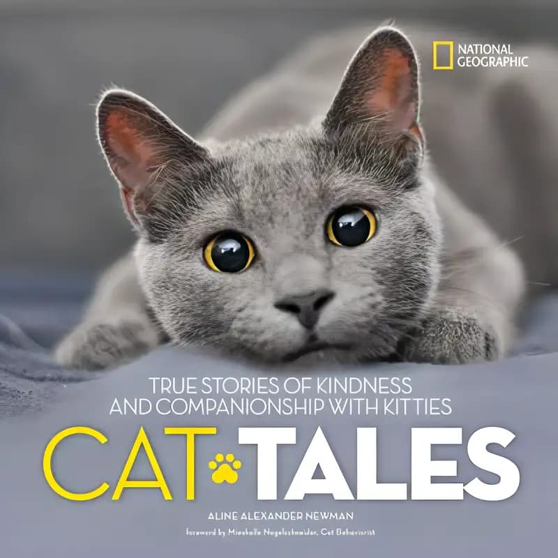 Book cover of 'Cat Tales: True Stories of Kindness and Companionship With Kitties'