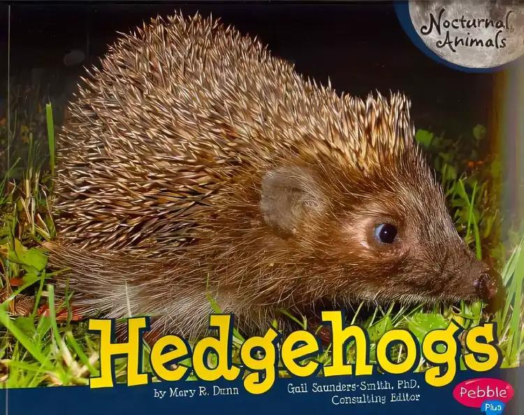 Hedgehogs