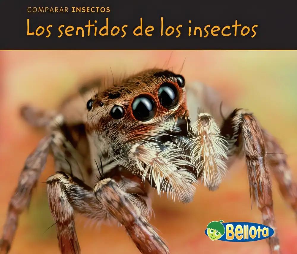 Los sentidos de los insectos (Comparar insectos)