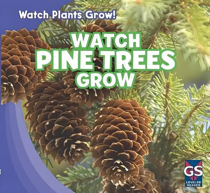 Watch Pine Trees Grow (Watch Plants Grow!)