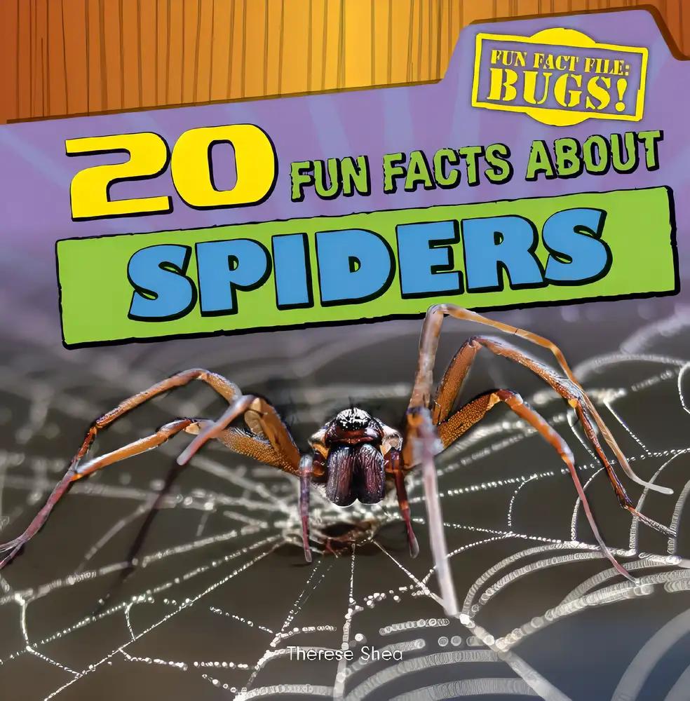 20 Fun Facts About Spiders (Fun Fact File)