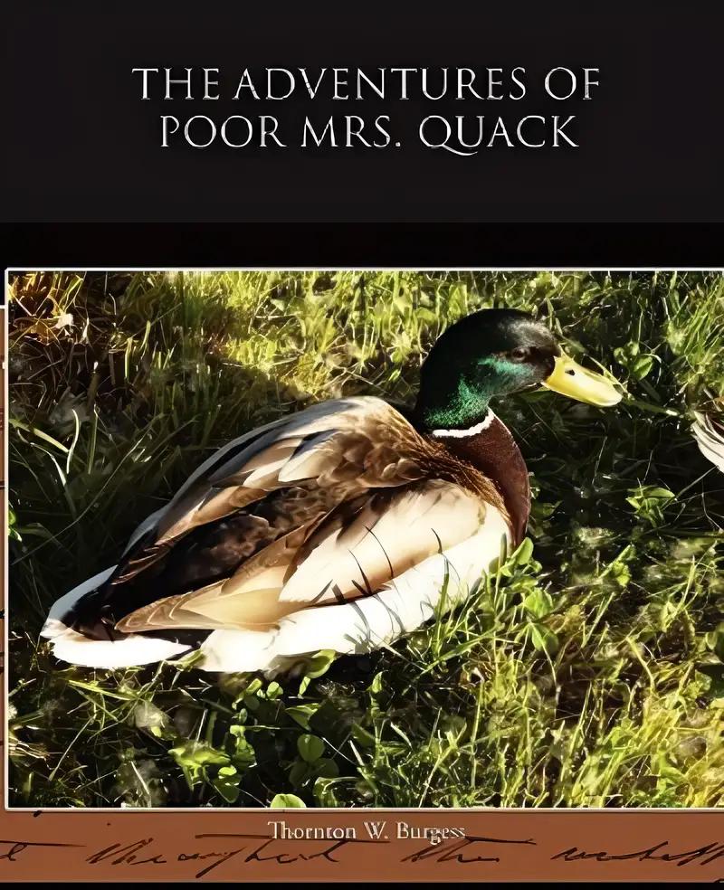 The Adventures of Poor Mrs. Quack